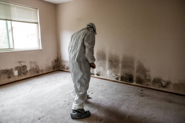 Best Industrial Mold Remediation  in Charlestown, IN